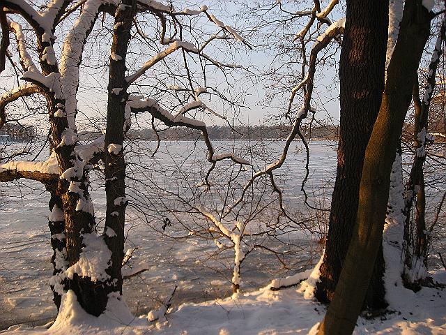 IMG_5525.JPG