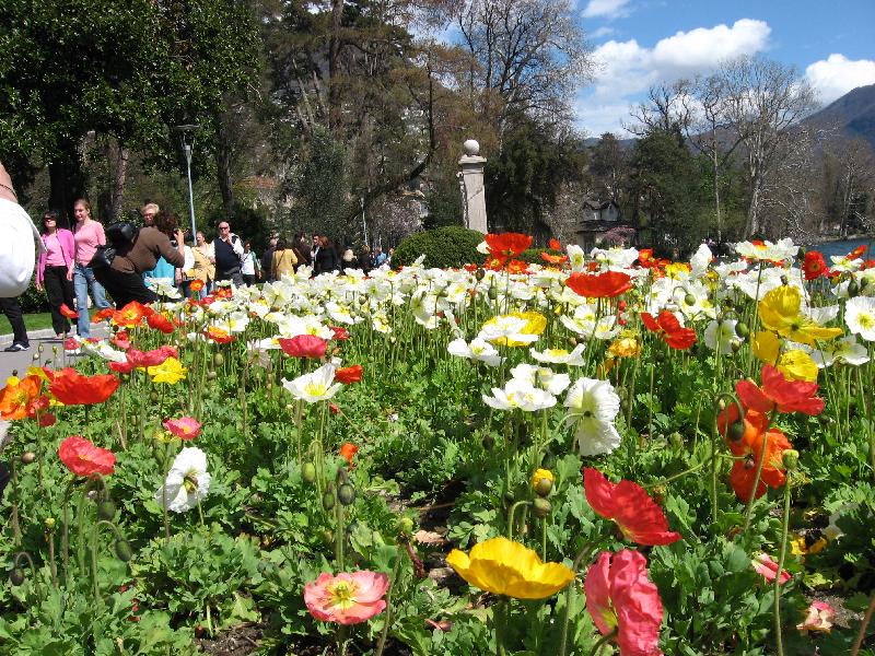 IMG_0443 Lugano Park Ciani