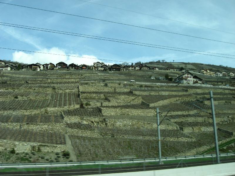 IMG_0498 Weinberge Rhonetal