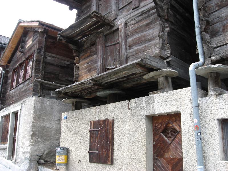 IMG_0528 Zermatt M�useschutz