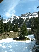 IMG_1033 Wengernalpbahn - Abfahrt nach Lauterbrunn