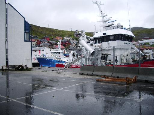 imgp2946 Hafen im Regen
