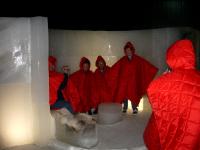 imgp2942 Gruppenrotk�ppchen